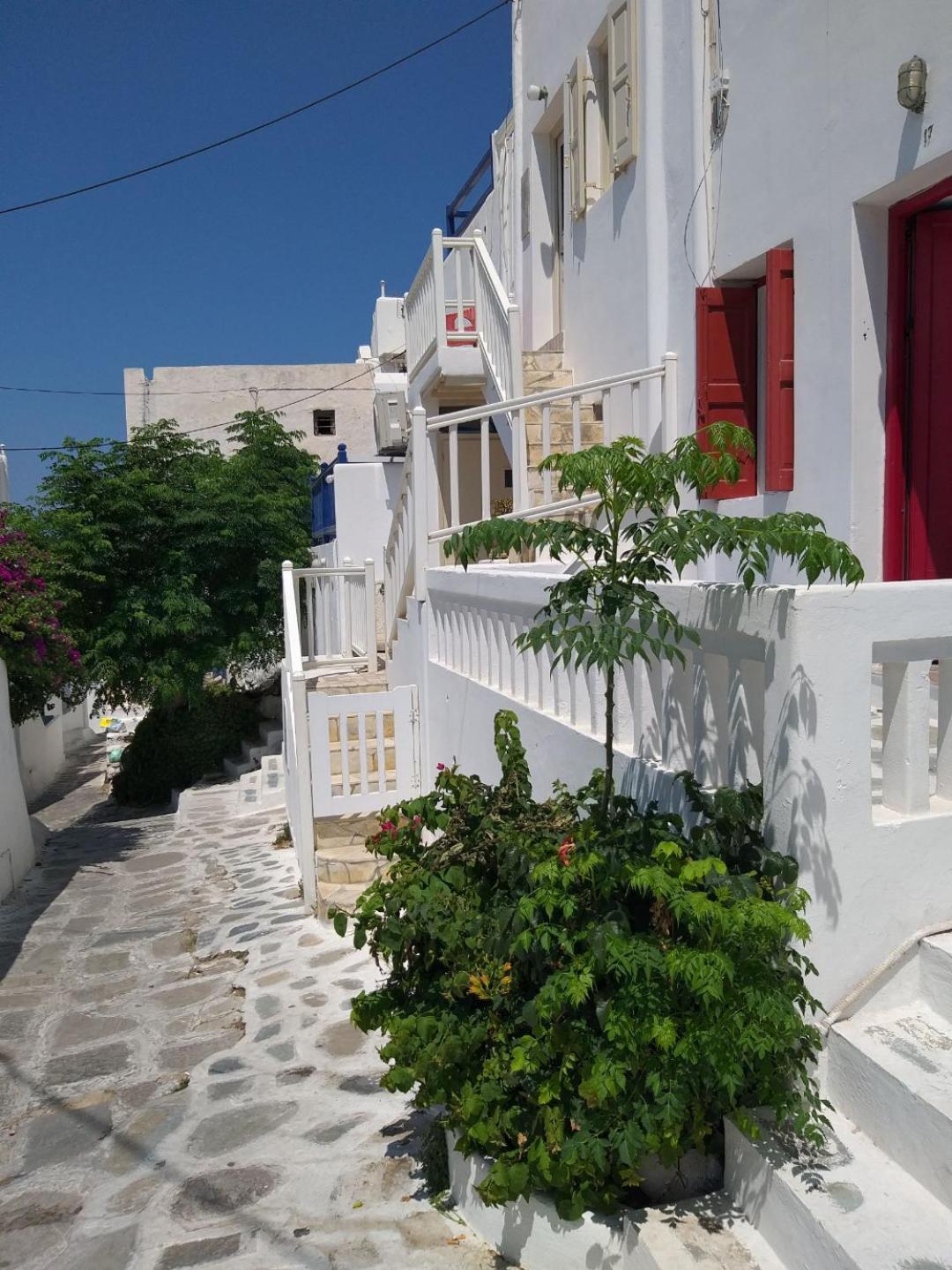Alex Oldtown Sea View Rooms And Appartments Mykonos Town Buitenkant foto