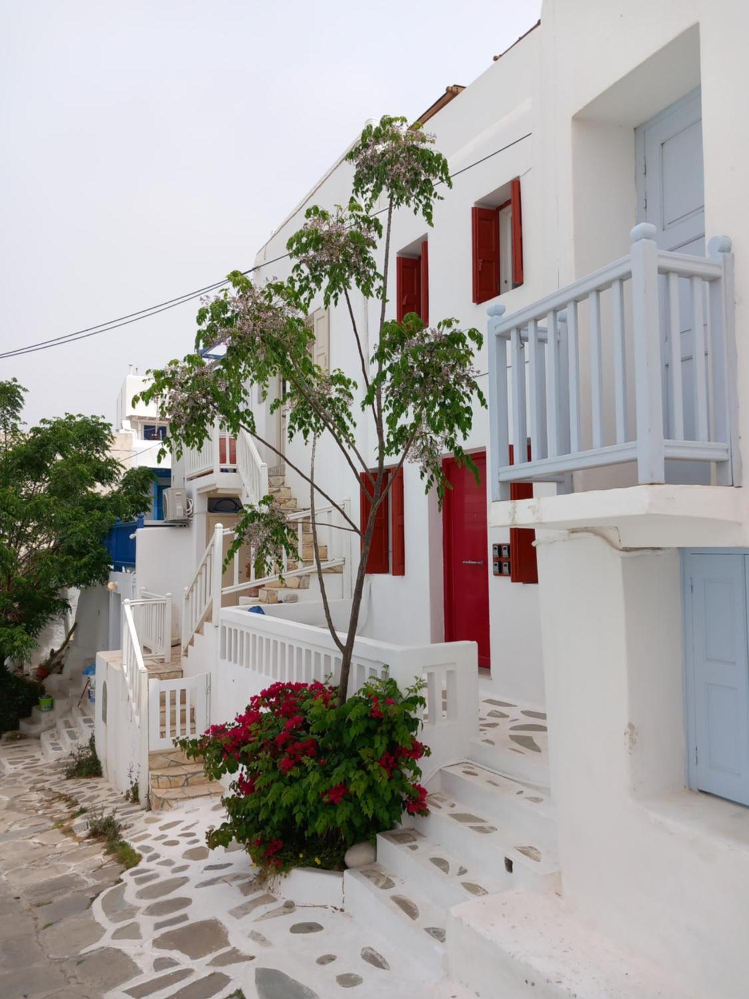 Alex Oldtown Sea View Rooms And Appartments Mykonos Town Buitenkant foto