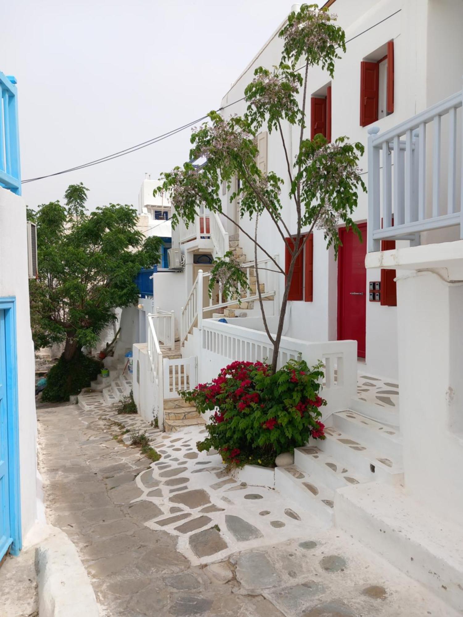 Alex Oldtown Sea View Rooms And Appartments Mykonos Town Buitenkant foto